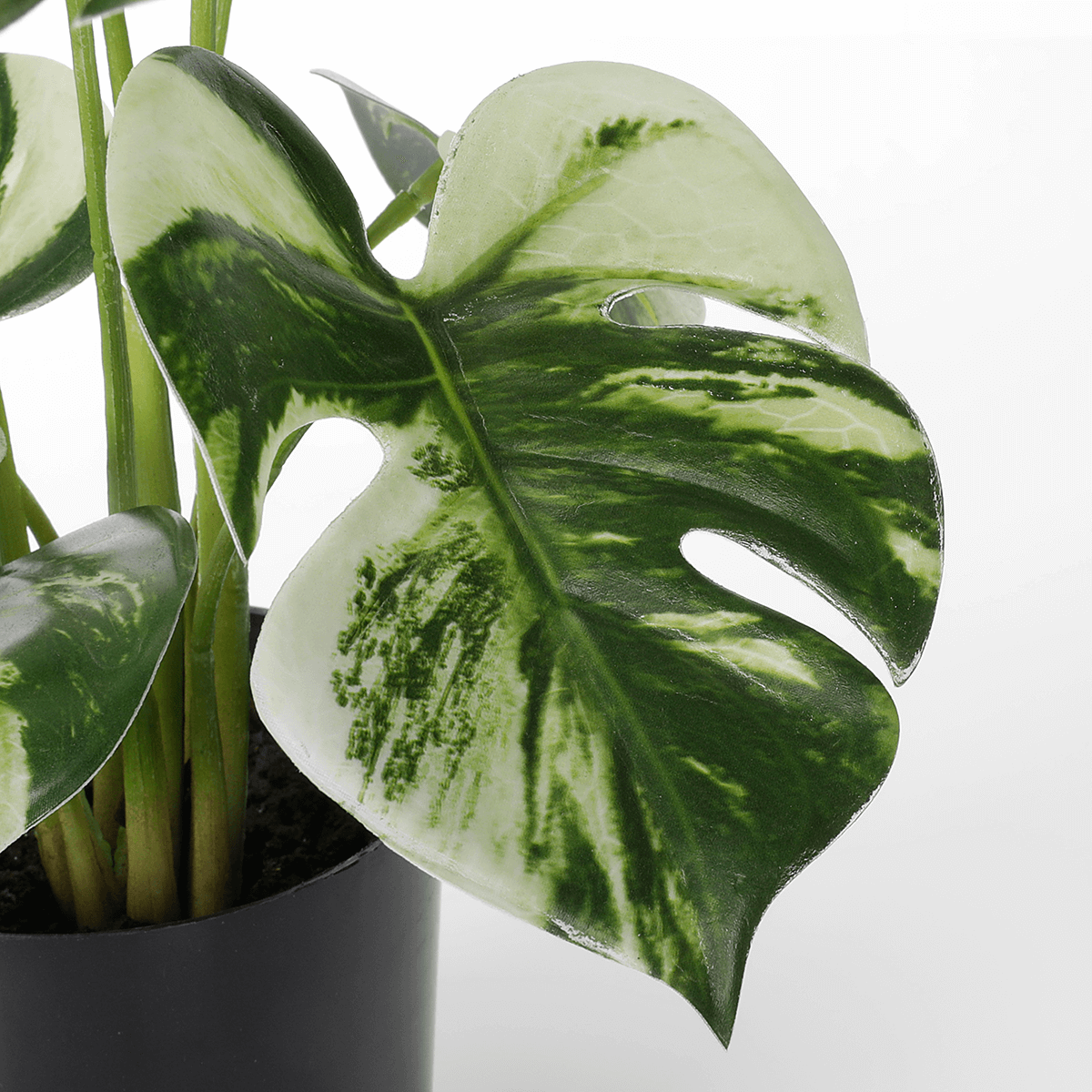Künstliche Deko Monstera Topfpflanze Deliciosa Albo Variegata 37 cm - 1 Künstliche Deko Monstera Topfpflanze Deliciosa Albo Variegata 37 cm - 1