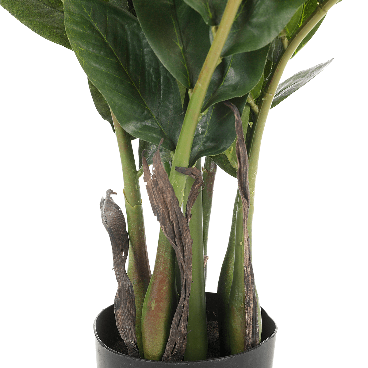 Lucky Feather Zamioculcas artificial plant in pot, 70 cm - 2