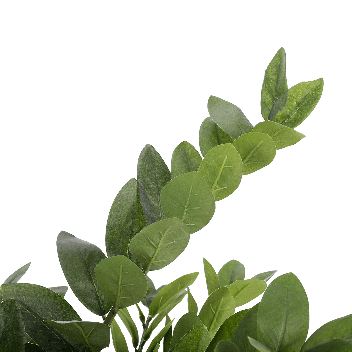 Lucky Feather Zamioculcas artificial plant in pot, 70 cm - 1