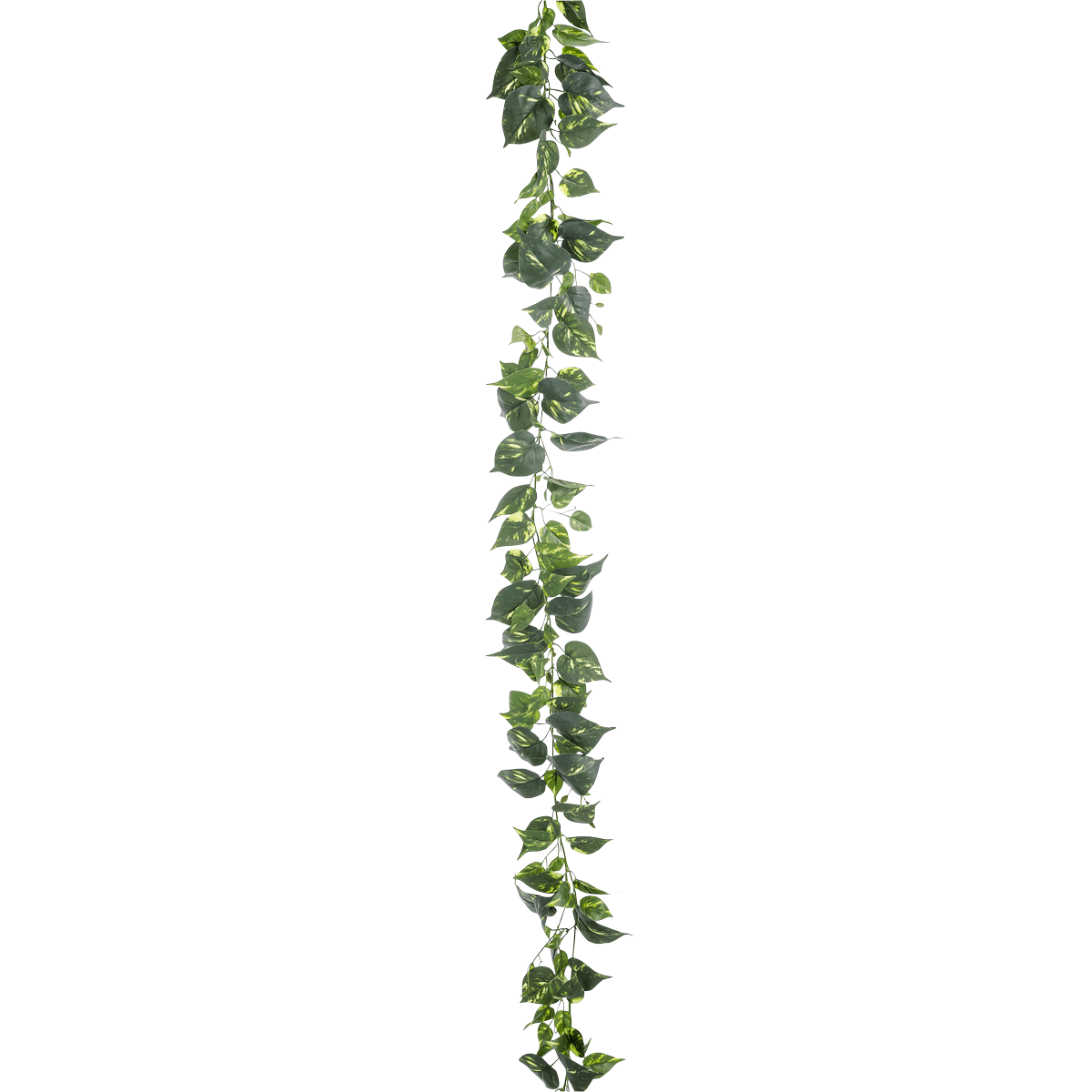 Guirnalda artificial de Pothos 220 cm - 2