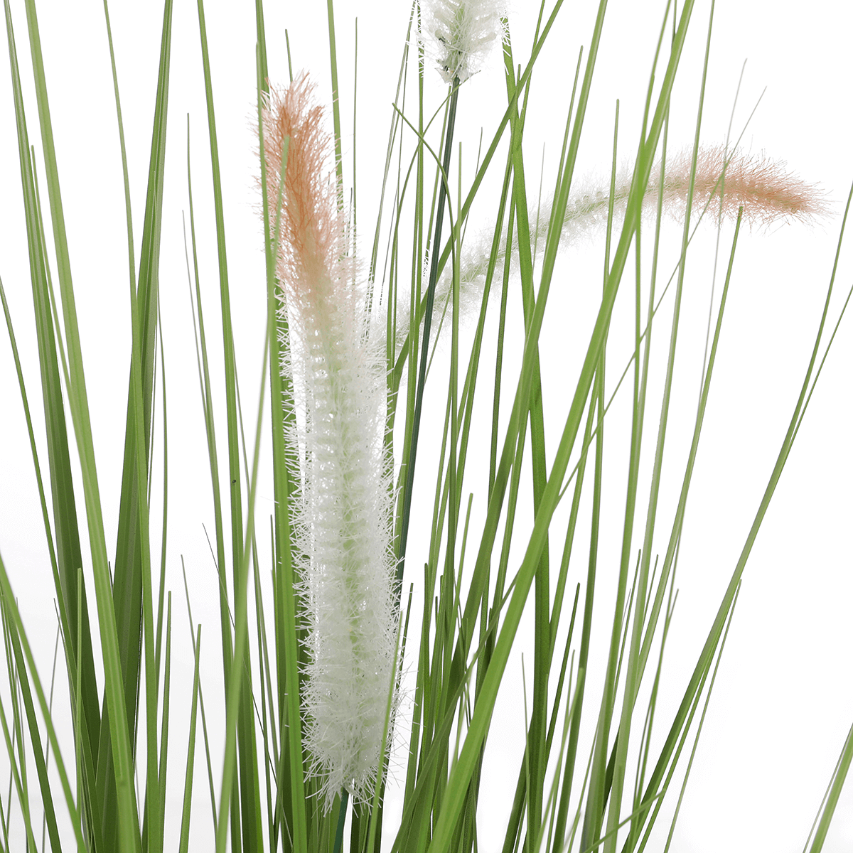 Deco lampbush grass en maceta negra 54 cm - 1