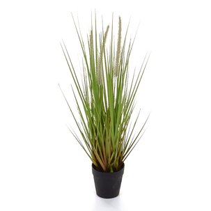Deco lampbush grass en maceta negra 54 cm