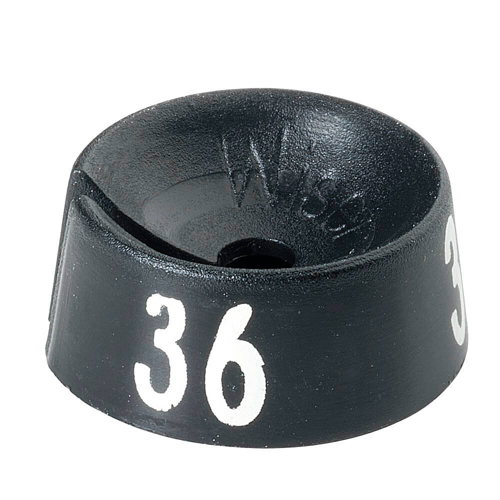 Cavaliers à chiffres noirs - 8