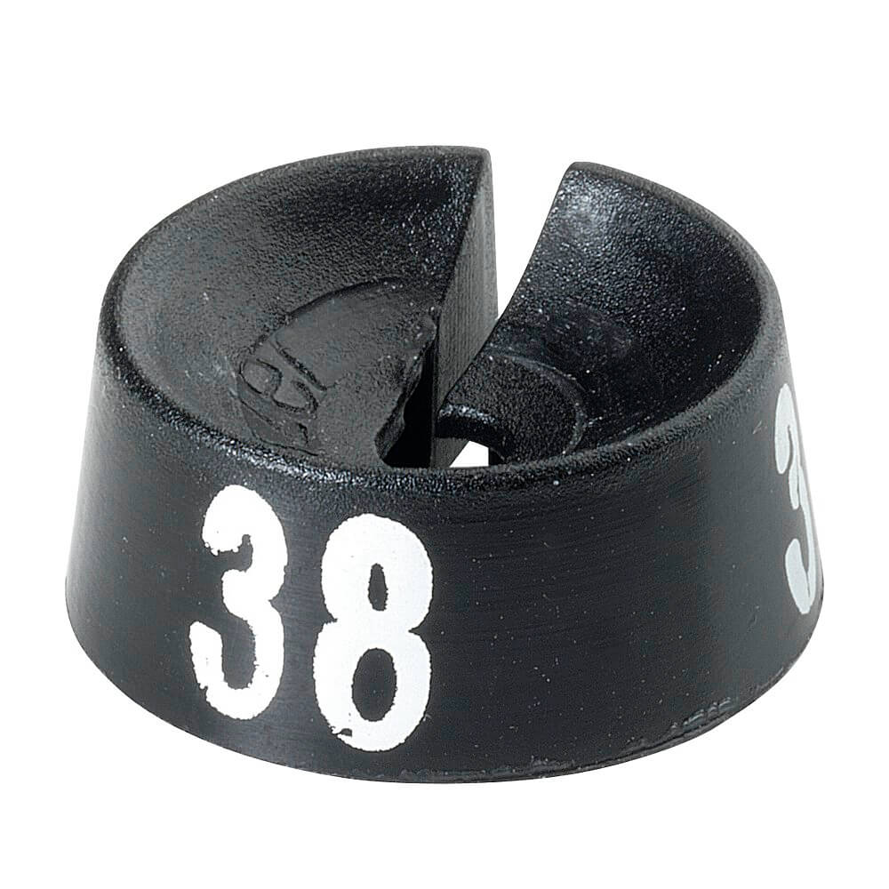 Cavaliers à chiffres noirs - 9