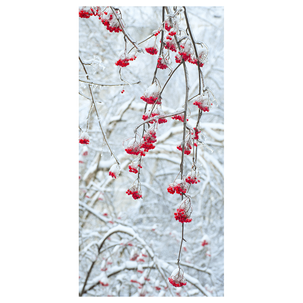 Bannière en tissu ignifugé "Baies d'hiver" en tissu pour drapeau 100 x 200 cm
