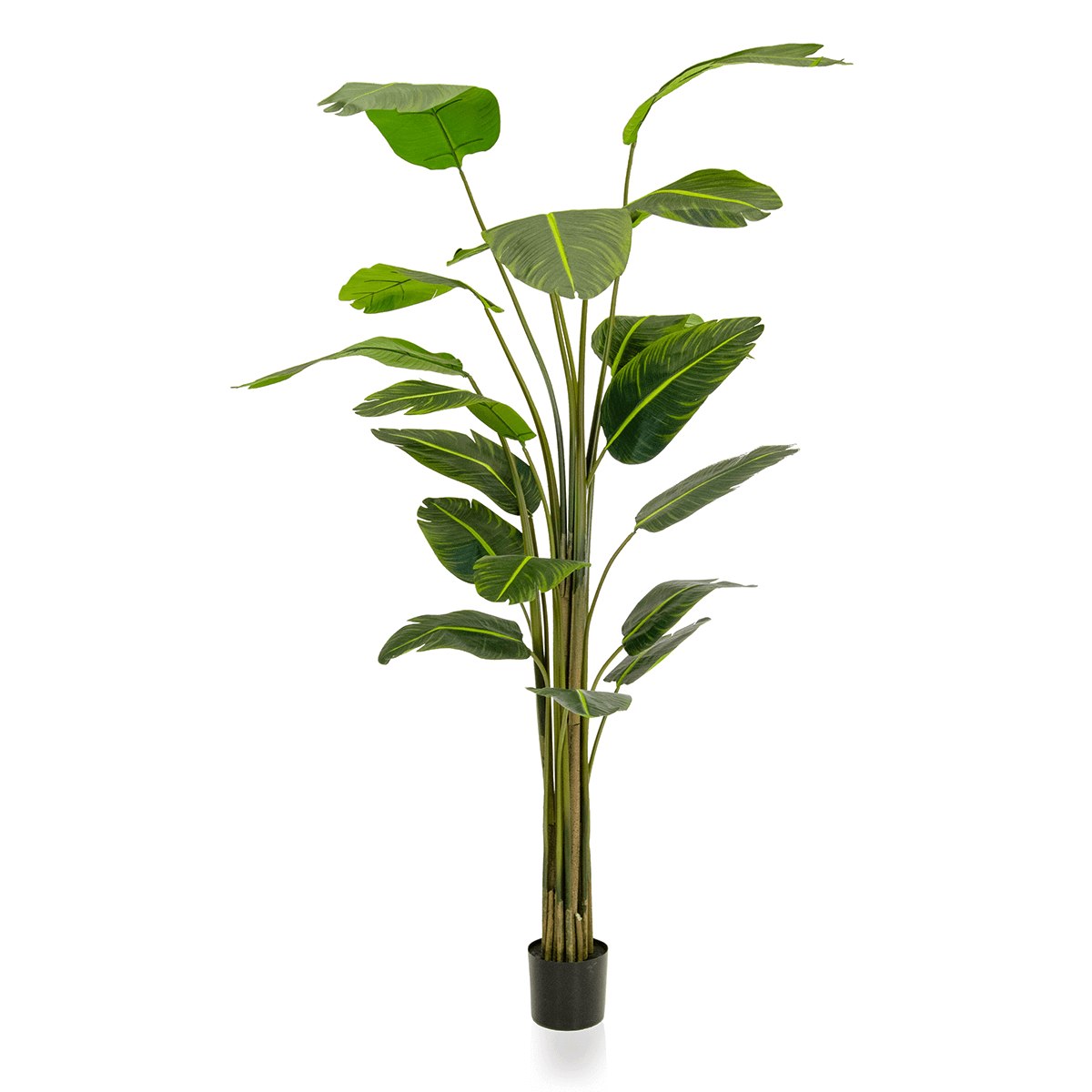 Strelizia planta artificial en maceta ignífuga - 0 Strelizia planta artificial en maceta ignífuga - 0