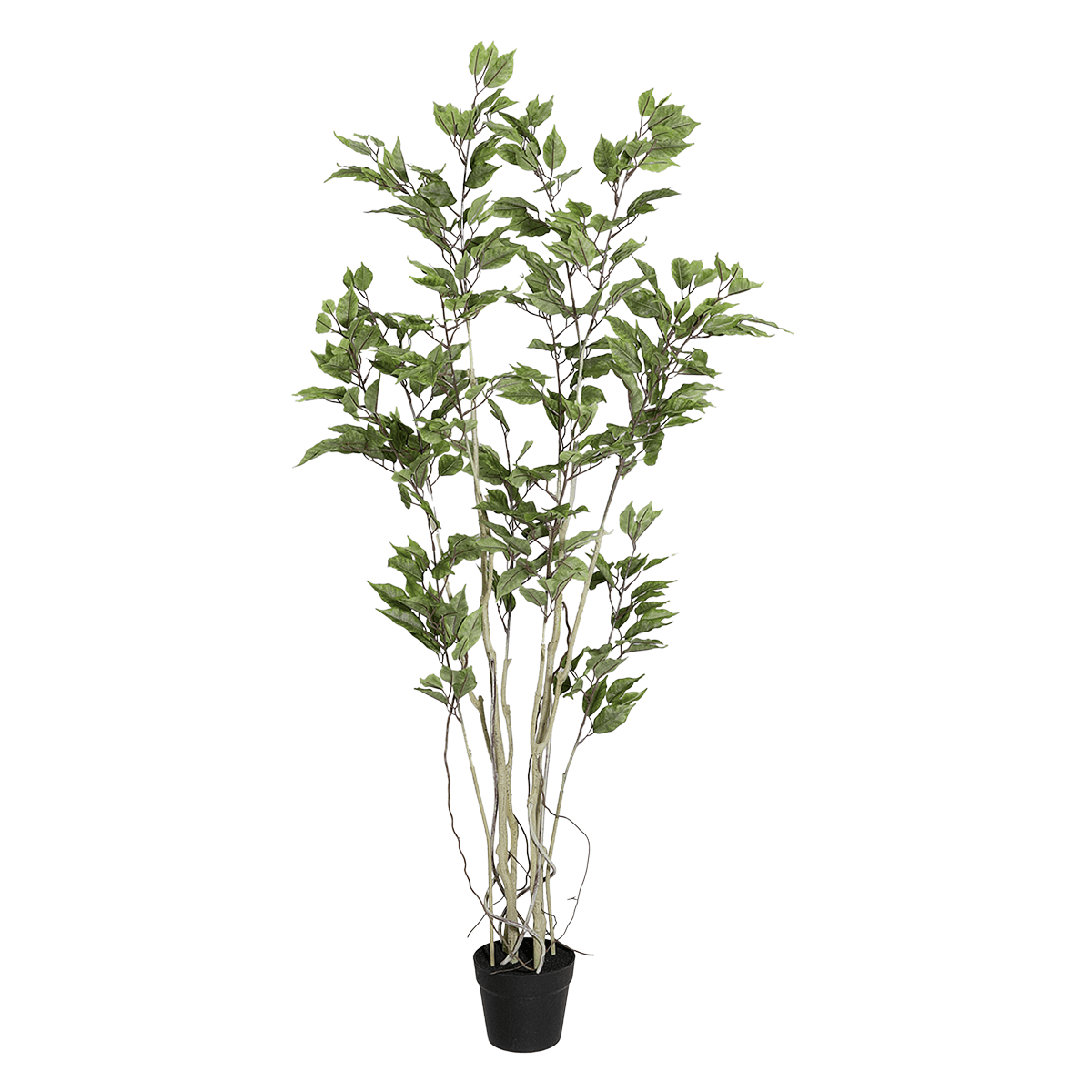 Künstlicher Ficusbaum im Topf  - 1