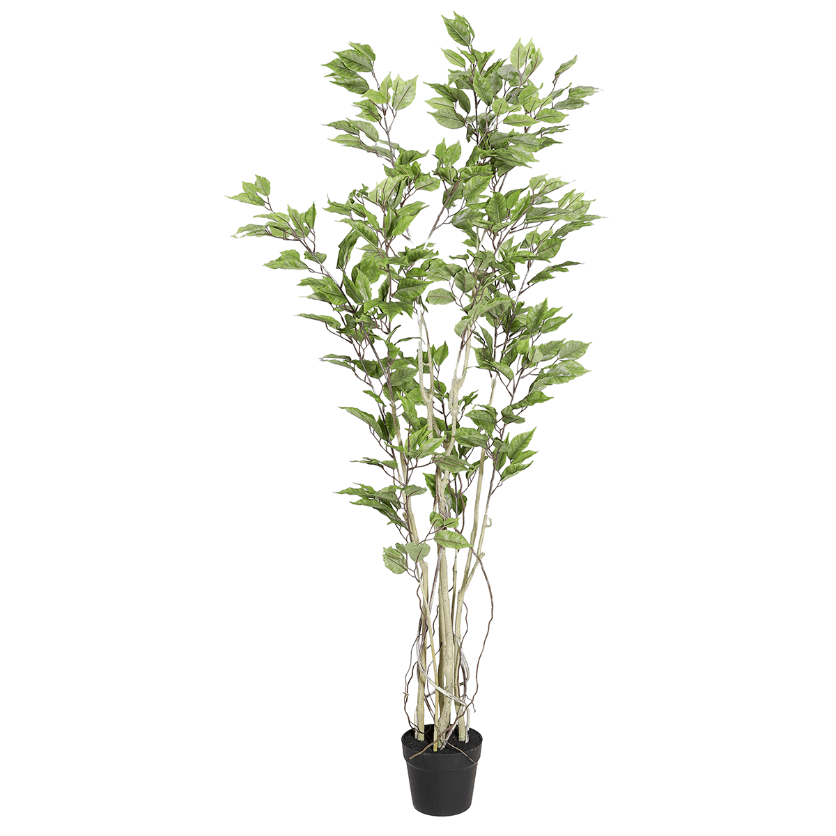 Künstlicher Ficusbaum im Topf  - 3