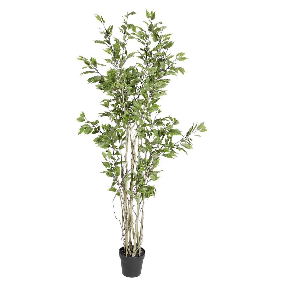 Ficus artificiel en pot  - 1