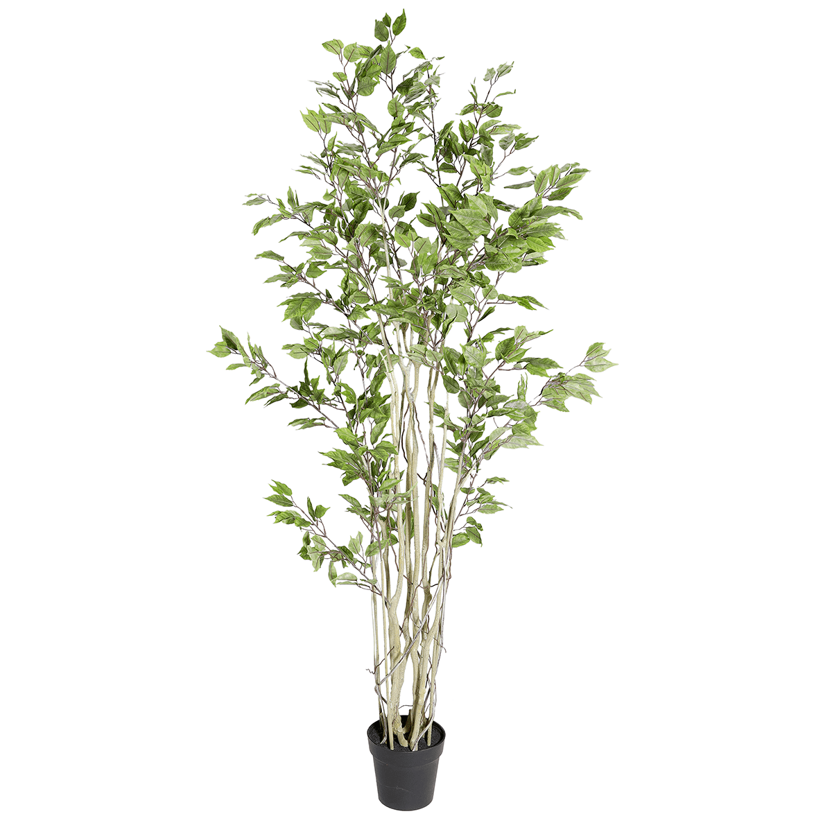 Ficus artificiel en pot  - 2
