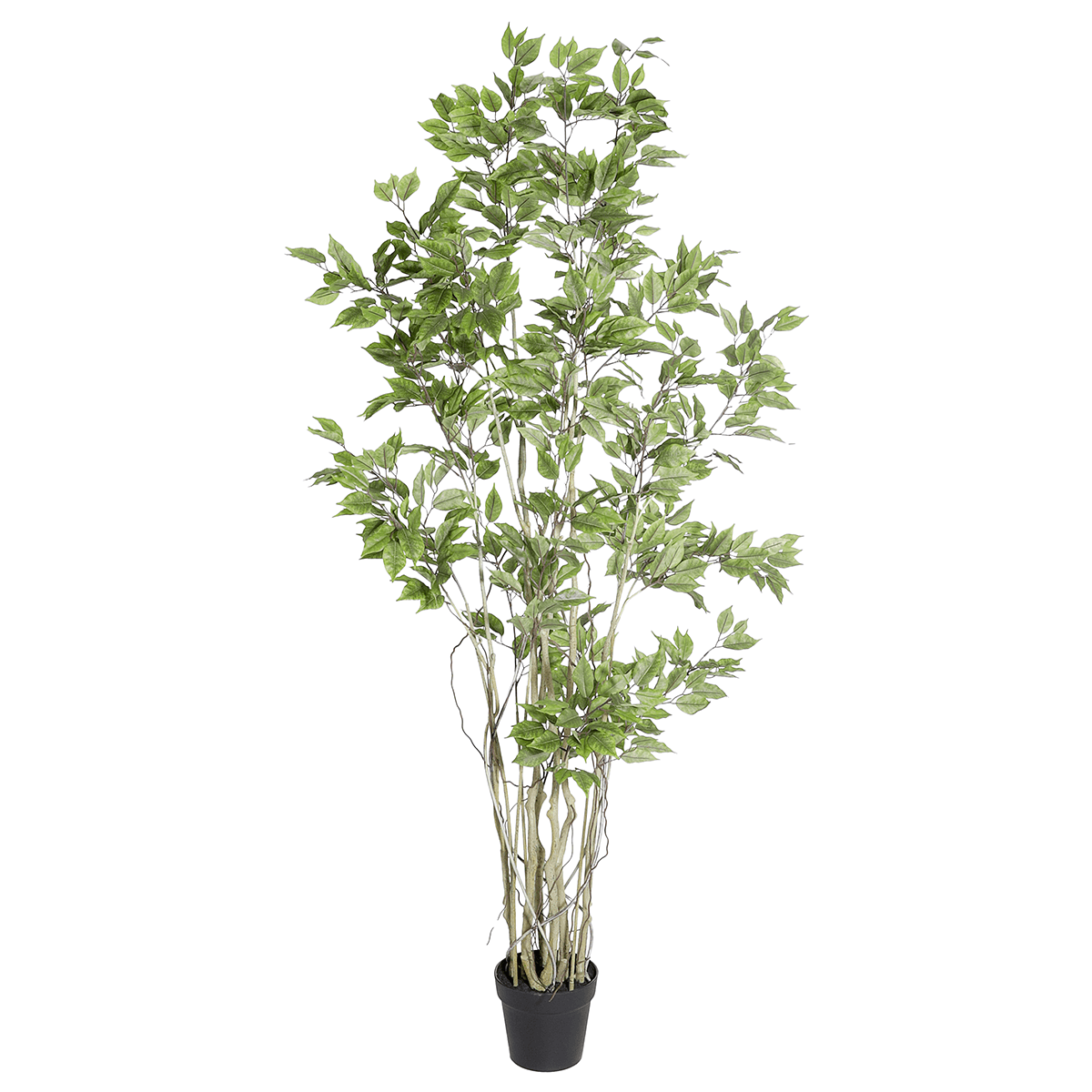 Ficus artificiel en pot  - 0