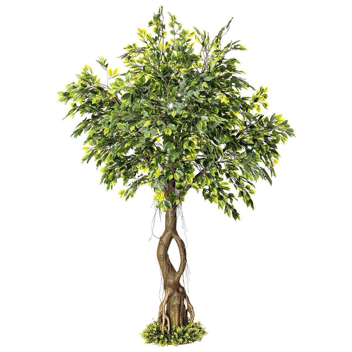 Artificial ficus tree with stand 245 cm - 0