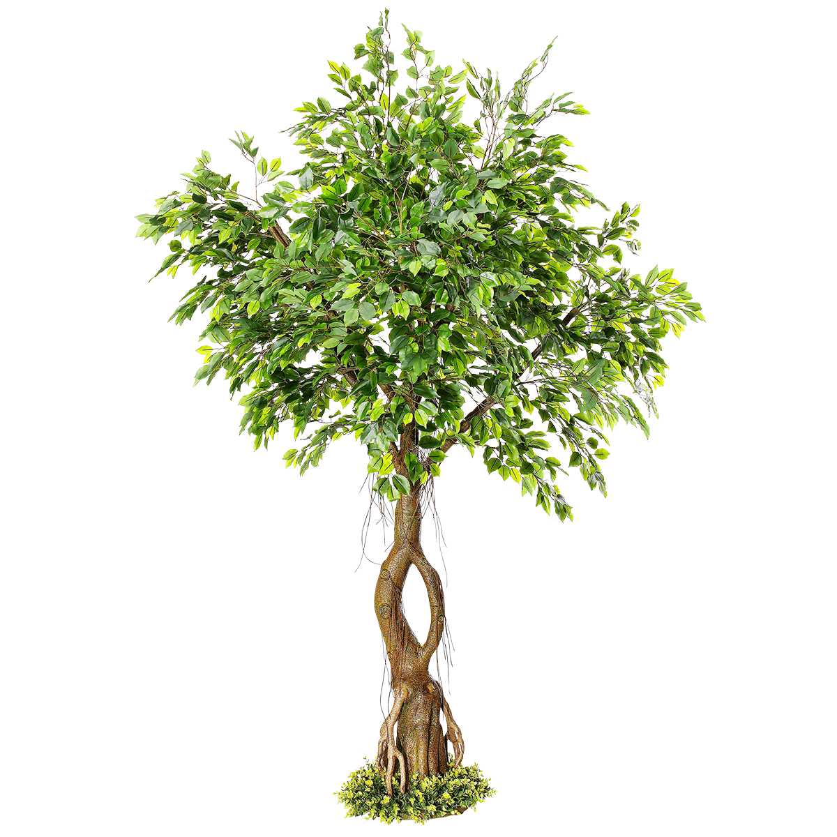 Artificial ficus tree with stand 245 cm - 1