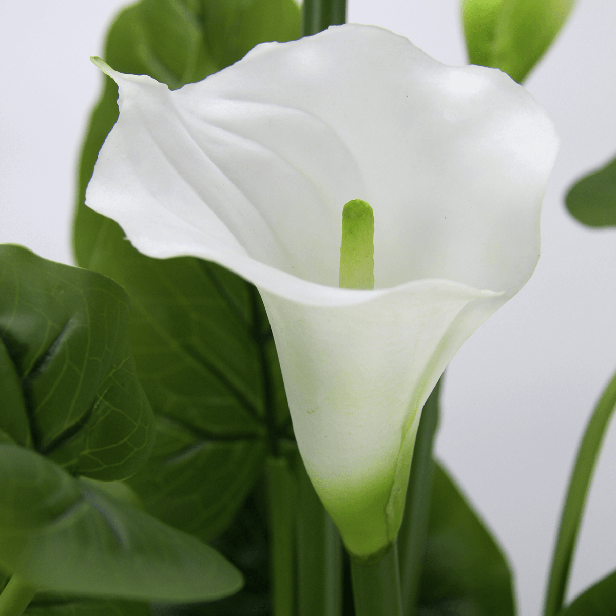 Calla artificial plant white in pot in 2 sizes - 4 Calla artificial plant white in pot in 2 sizes - 4