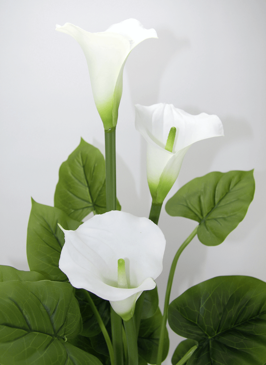 Calla artificial plant white in pot in 2 sizes - 3 Calla artificial plant white in pot in 2 sizes - 3