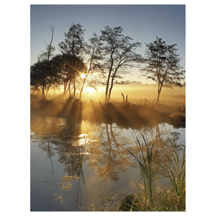 XL-Stoffbanner "Nebel am Fluss" aus schwer entflammbarem Fahnenstoff 150 x 200 cm