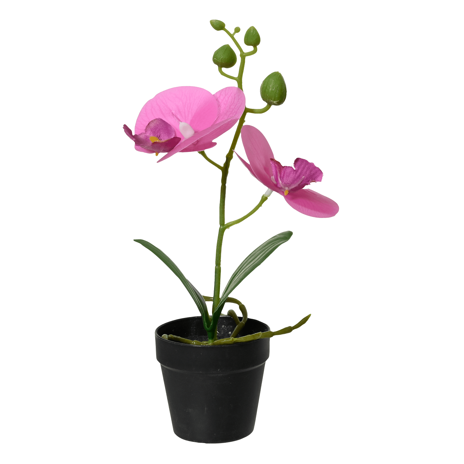 Künstliche Orchideen im schwarzen Topf 25 cm - 0 Künstliche Orchideen im schwarzen Topf 25 cm - 0