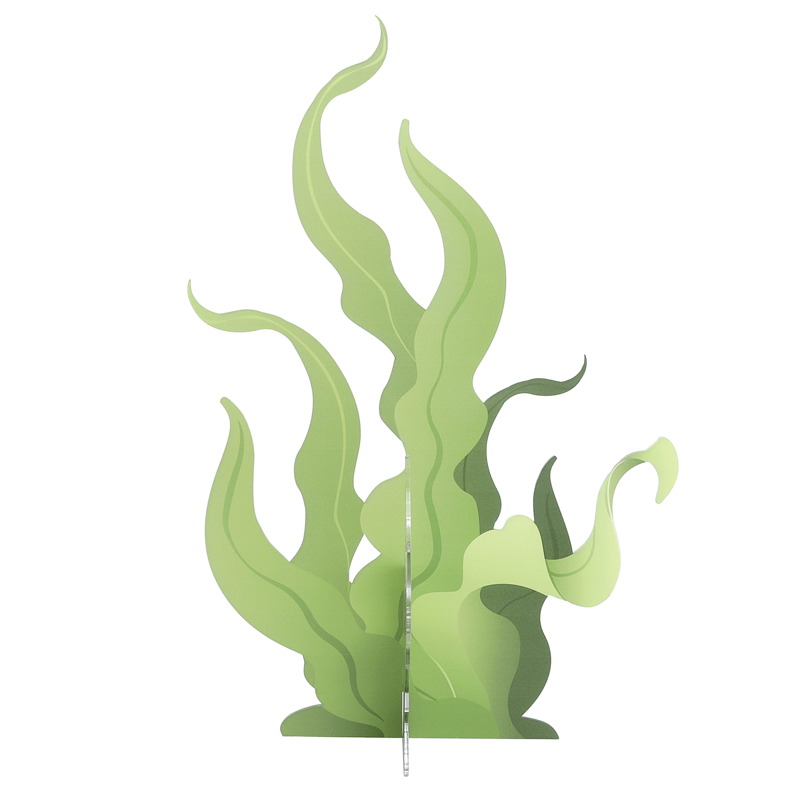 Seaweed display, 52 cm high, with 3D effect - 2