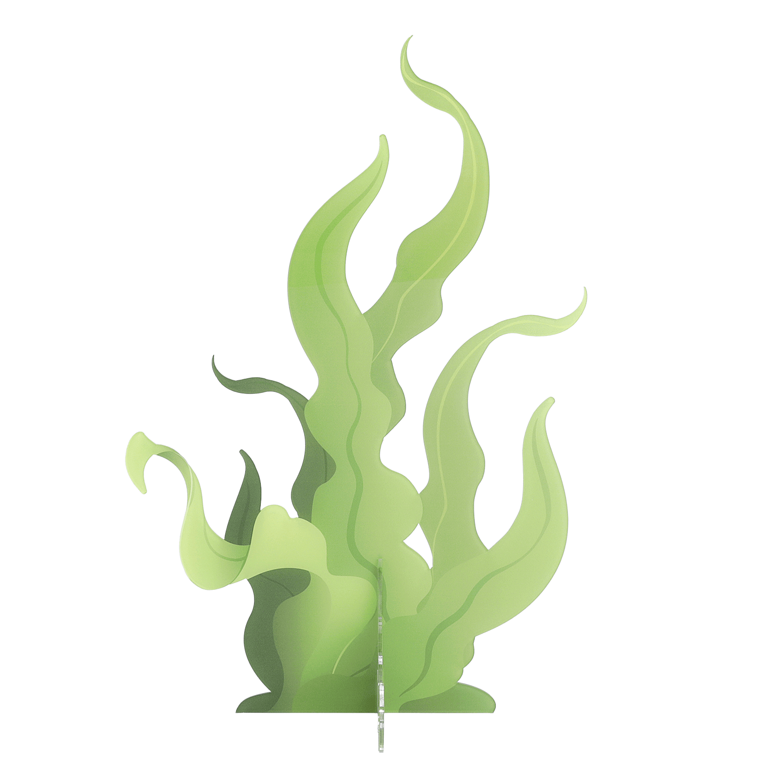 Seaweed display, 52 cm high, with 3D effect - 3