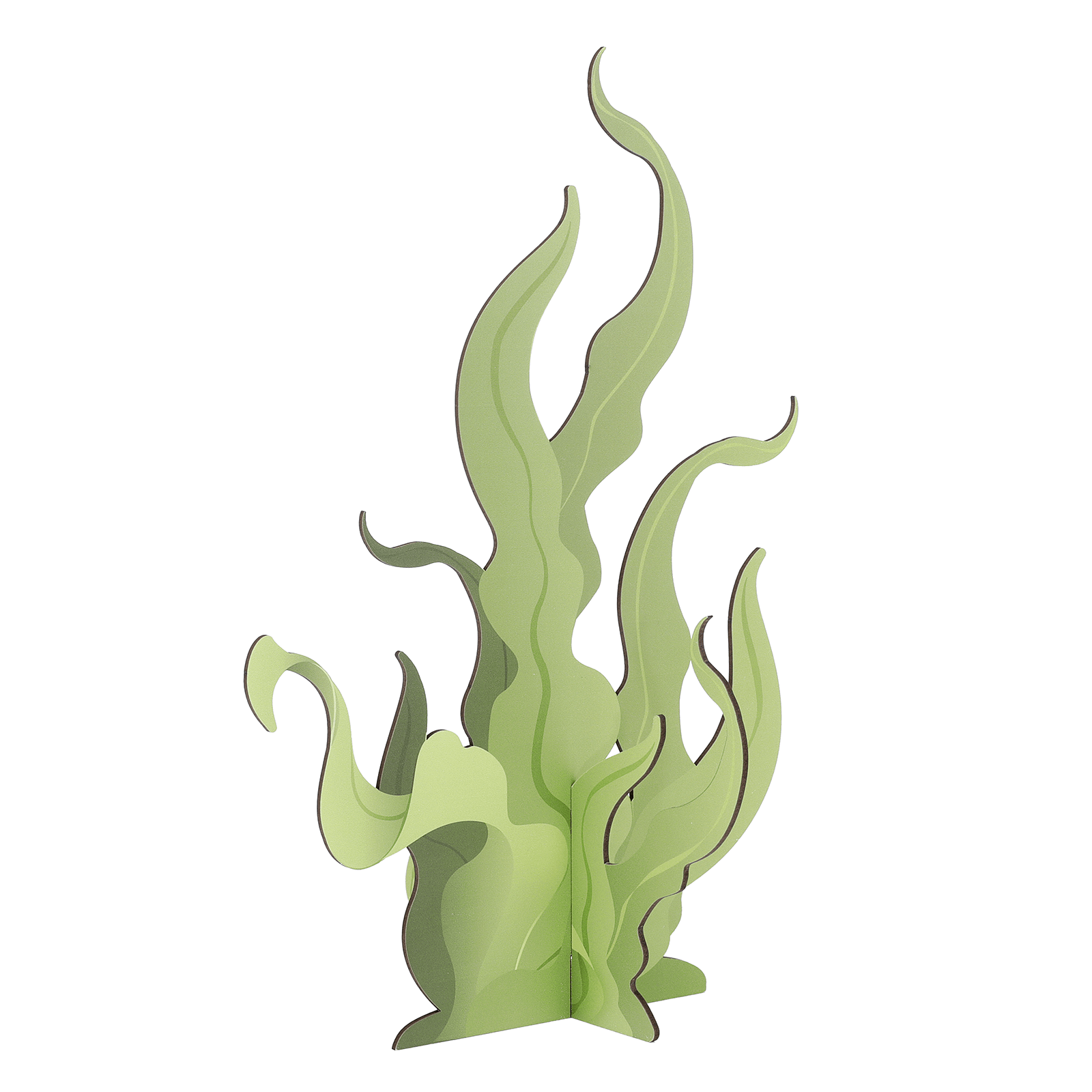 Seaweed display, 52 cm high, with 3D effect - 0