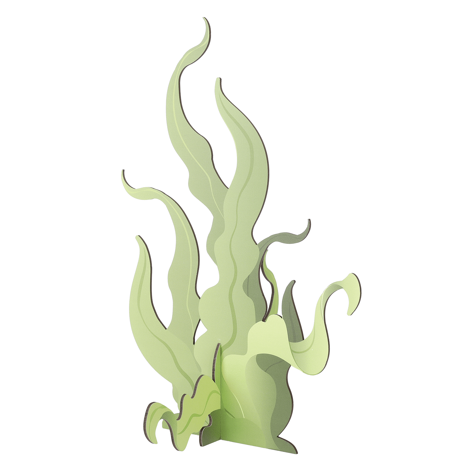 Seaweed display, 52 cm high, with 3D effect - 1