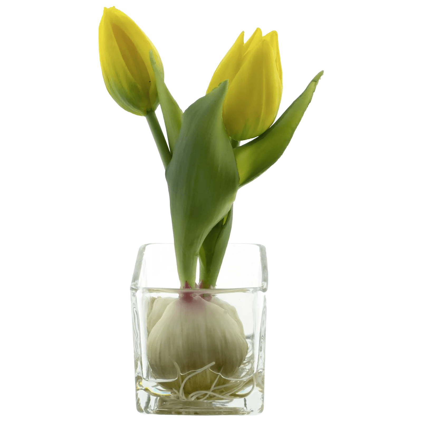 Tulipán artificial en vidrio 19 cm - 0 Tulipán artificial en vidrio 19 cm - 0
