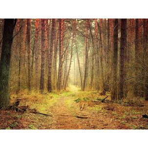 XXL fabric banner "Autumnal forest path" flame retardant