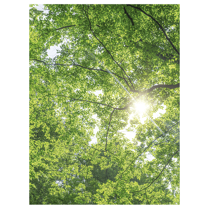 middleImage