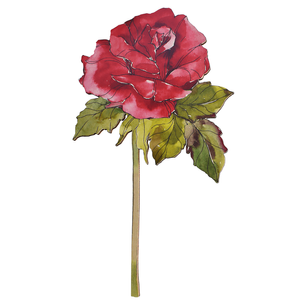 Hängedisplay Rose 70 cm