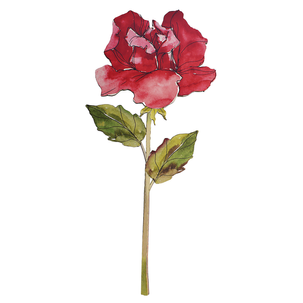 Hängedisplay Rose 95 cm