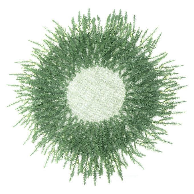 middleImage