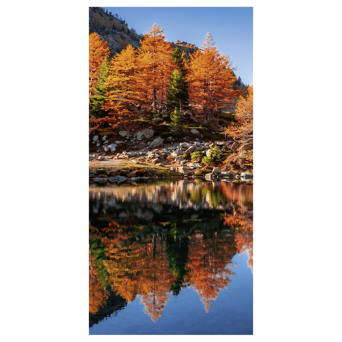 middleImage