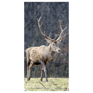 Schwer entflammbarer Stoffbanner Hirsch 100 x 200 cm