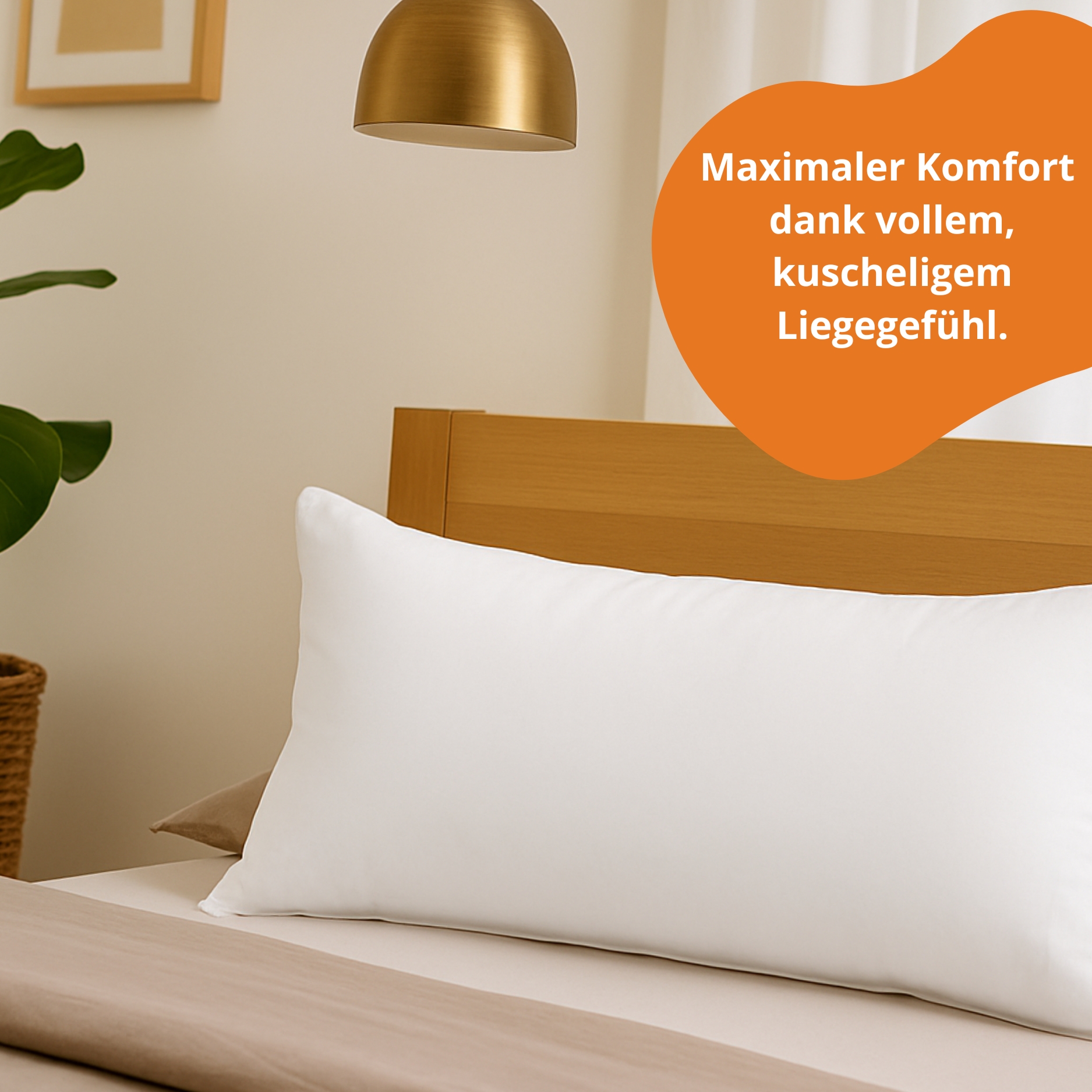sleepling Daunenkissen 80x80 cm, 3-Kammer Daunenkopfkissen, Kopfkissen 80 x 80 cm aus Daunen & Federn, Dreikammer Kissen Made in EU, Ökotex, Downpass