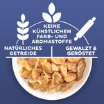 Kellogg's Frosties - g