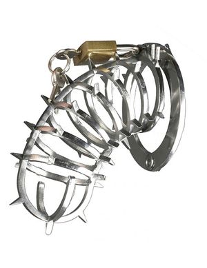 1205218 XXdreamSToys 700000257576 Penis-Keuschheitsgitter Spikes außen mit Schloss