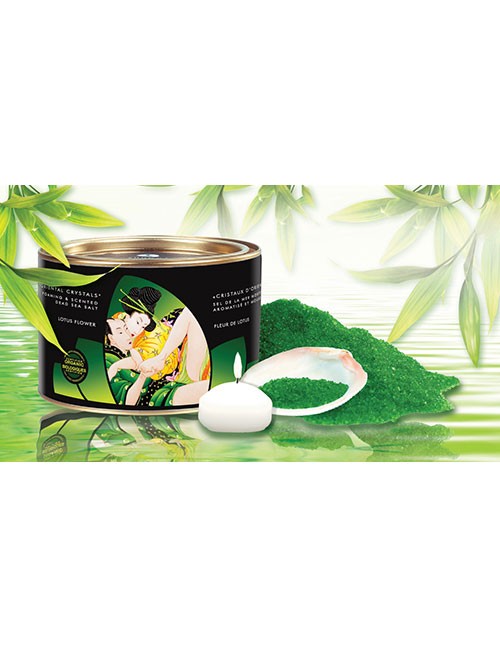 Shunga - Lotus Flower Badesalz 600g Shunga - Lotus Flower Badesalz 600g – Produktbild 1