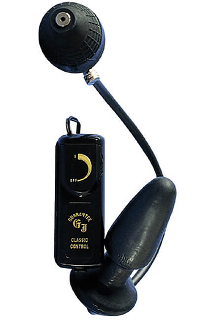 Fanny Hills Butt Plug mit Vibration Fanny Hills Butt Plug mit Vibration