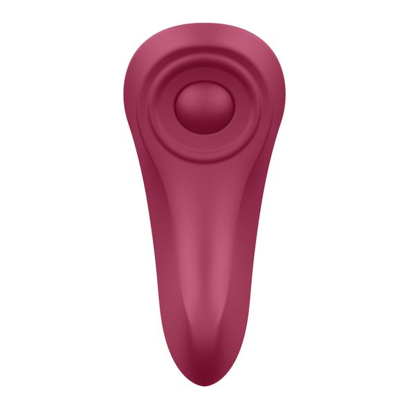 Satisfyer - Sexy Secret Panty Vibrator wine red