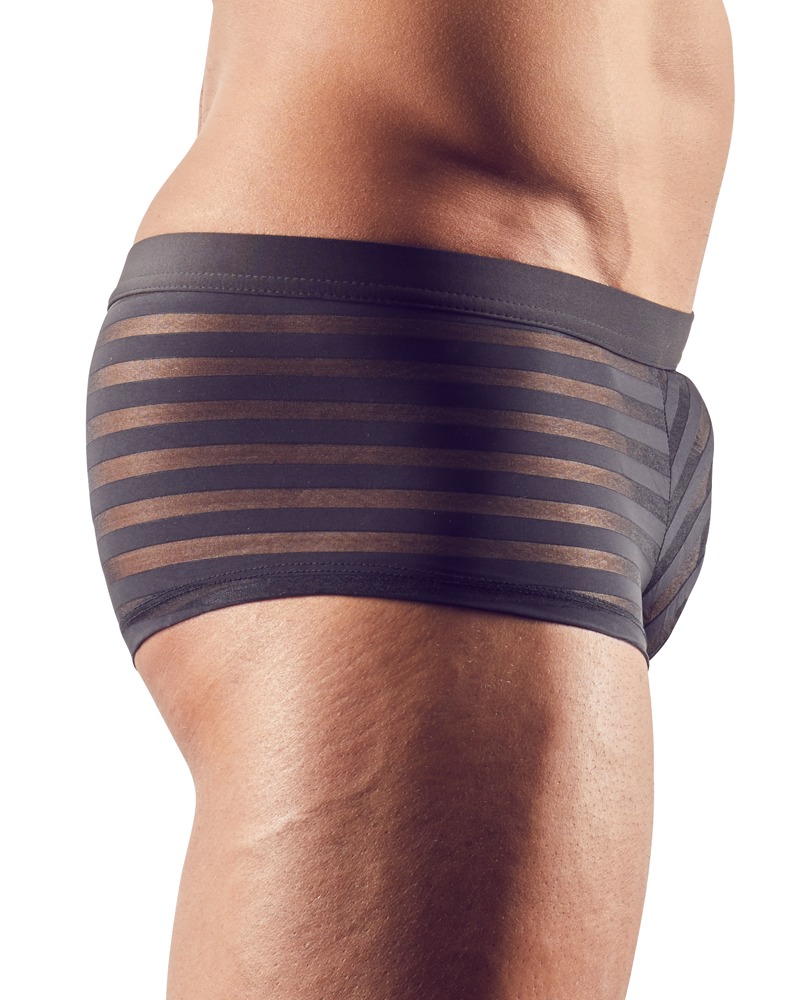 Svenjoyment - Herren Pants mit transparenten Streifen Svenjoyment - Herren Pants mit transparenten Streifen – Produktbild 2