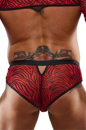 Regnes-Fashion-Planet - Netz Slip im Zebramuster 