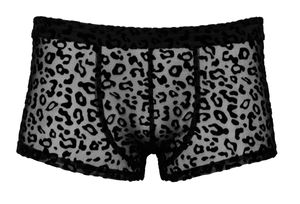 Noir Handmade - Herren Pants im Leo-Look Noir Handmade - Herren Pants im Leo-Look