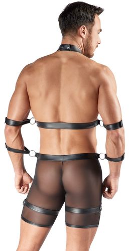 Svenjoyment - Herren Harness mit Pants Svenjoyment - Herren Harness mit Pants
