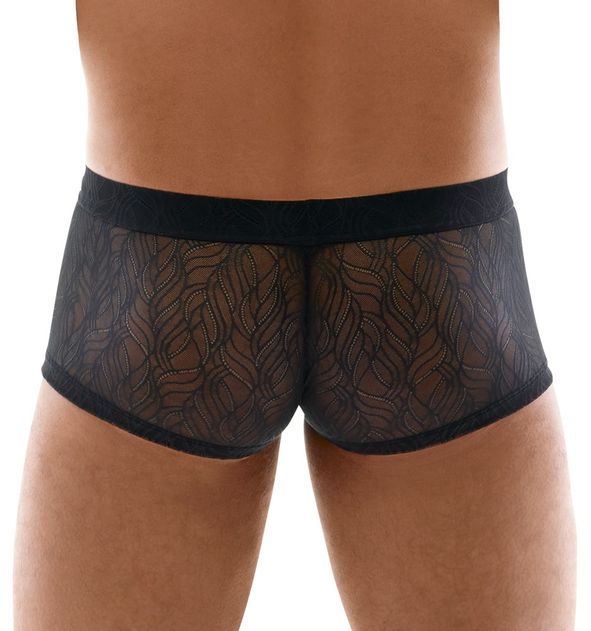 Svenjoyment - Herren Pants aus Spitze