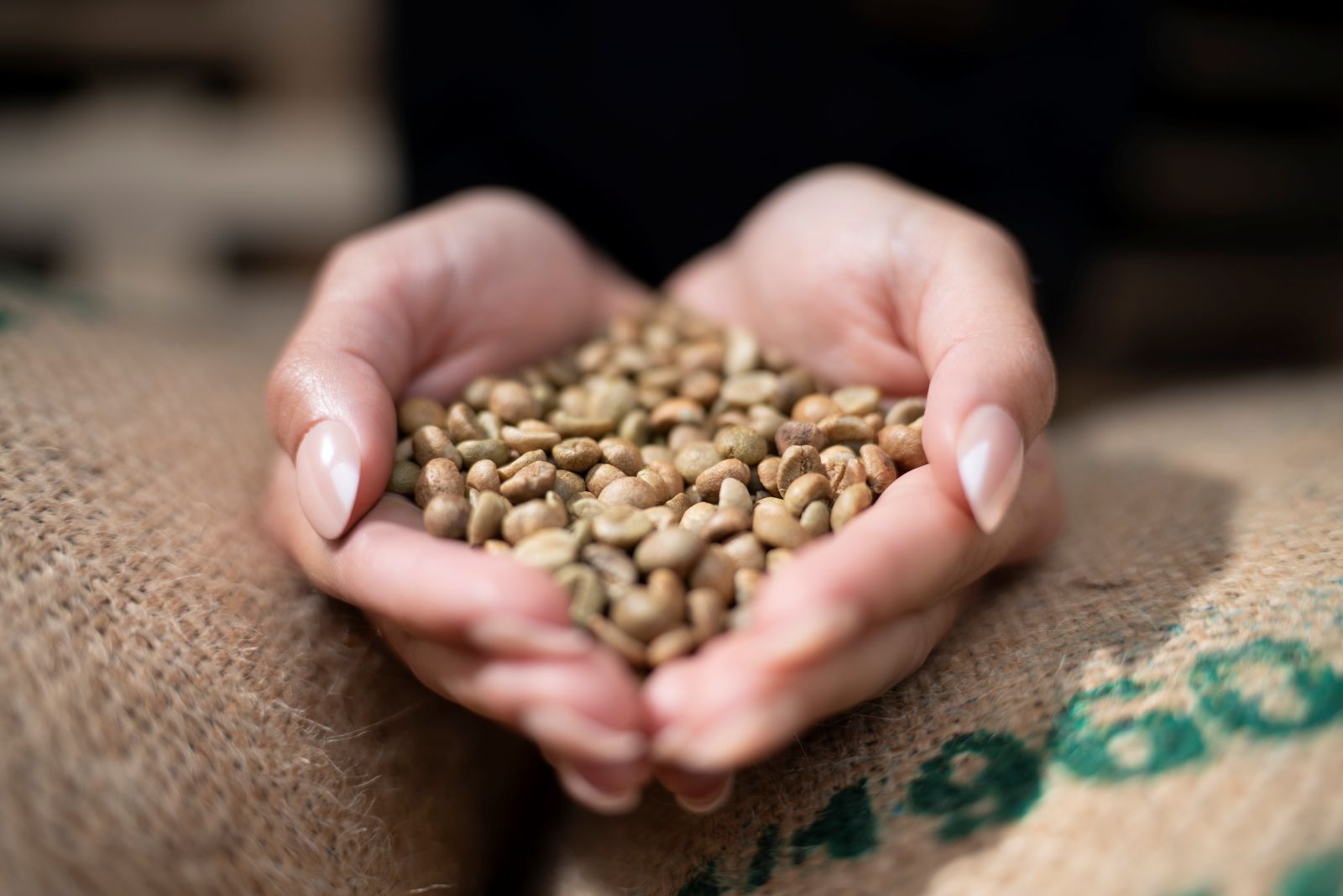 Am Anfang steht der Rohkaffee