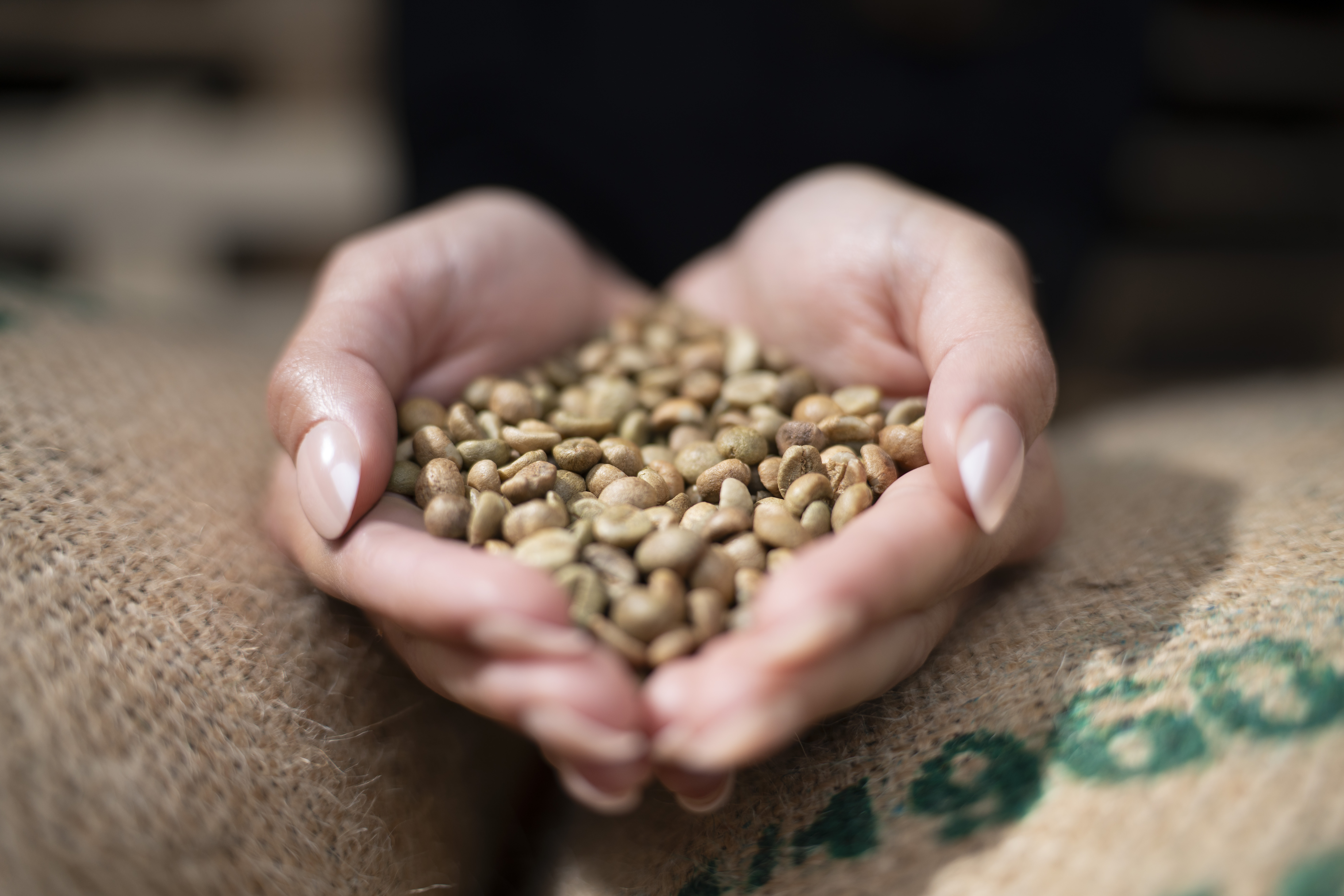 Am Anfang steht der Rohkaffee