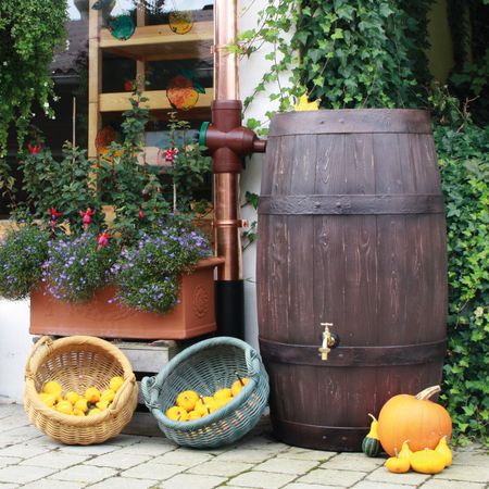 Regentonne Regenfass BARRIQUE 250 Liter braun