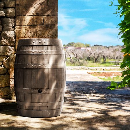 Regentonne Regenfass BORDEAUX 250 Liter inkl. Hahn