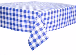 --10_4.JPG blaue Tischdecke mit 20mm Karo