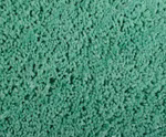 rio-mint2.jpg